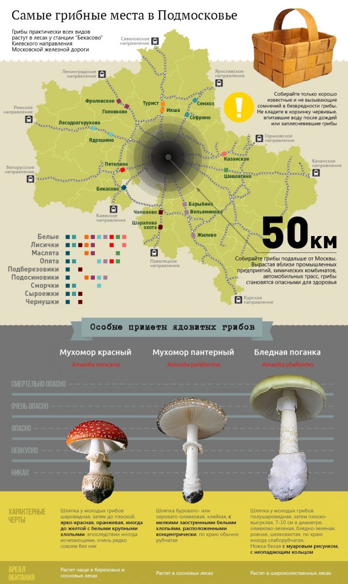 Где в московской области растут сморчки и строчки карта