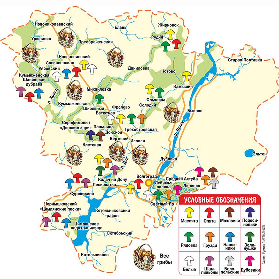 Карта грибных мест волгоградской области